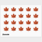 Bruin Canadees esdoornblad Ronde Sticker (Vel)