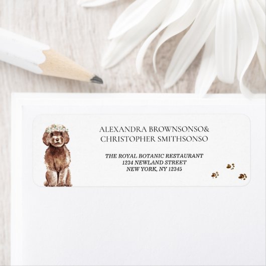 Bruin Cavapoo Hond Huis Nieuw Weds Bruiloft Etiket (Insitu)