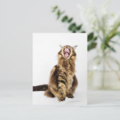 Bruin Classic Main Coon Tabby Briefkaart (Staand voorkant)