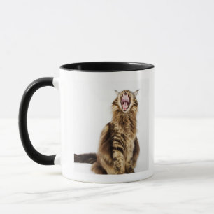 Bruin Classic Main Coon Tabby Mok