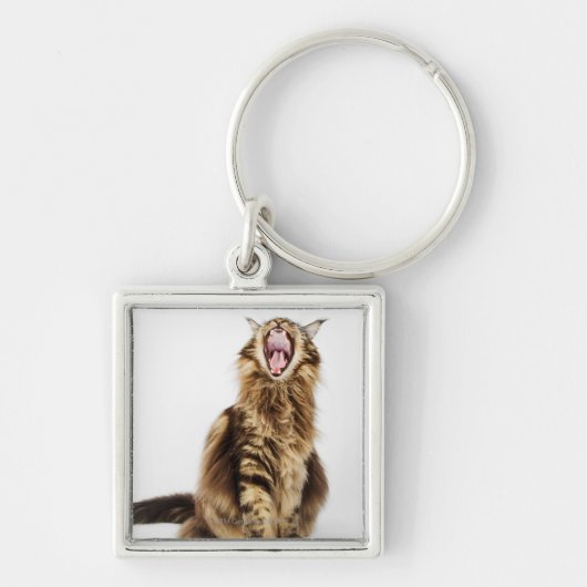 Bruin Classic Main Coon Tabby Sleutelhanger (Voorkant)