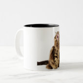 Bruin Classic Main Coon Tabby Tweekleurige Koffiemok (Voorkant links)