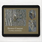 Bruin Creeper Coördinerende artikelen voor zongvog Muismat (Voorkant)