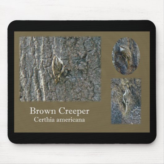 Bruin Creeper Coördinerende artikelen voor zongvog Muismat (Voorkant)