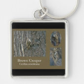 Bruin Creeper Coördinerende artikelen voor zongvog Sleutelhanger (Voorkant)