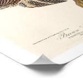 Bruin Creeper en Californisch Nuthatch van Audubon Poster (Hoek)