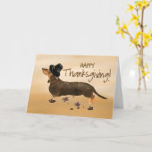 Bruin Dachshund Funny Pilgrim Pet Thanksgiving Kaart (Gele Bloem)