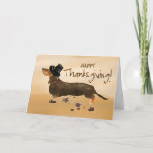 Bruin Dachshund Funny Pilgrim Pet Thanksgiving Kaart (Voorkant)