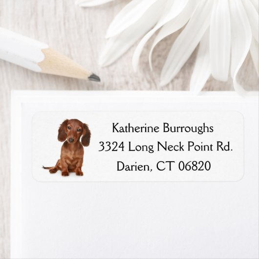 Bruin Dachshund Puppy Dog gepersonaliseerd Etiket (Insitu)