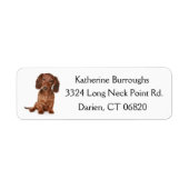 Bruin Dachshund Puppy Dog gepersonaliseerd Etiket (Voorkant)