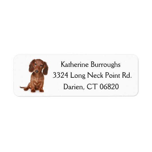 Bruin Dachshund Puppy Dog gepersonaliseerd Etiket (Voorkant)