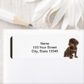 Bruin Dachshund Puppy Retouradres Label (Insitu)