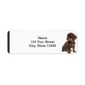 Bruin Dachshund Puppy Retouradres Label (Voorkant)