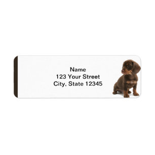 Bruin Dachshund Puppy Retouradres Label