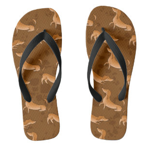 Bruin Dachshund-Teenslippers Teenslippers