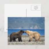 Bruin draag, grizzly, spel op het strand, briefkaart (Voorkant / Achterkant)