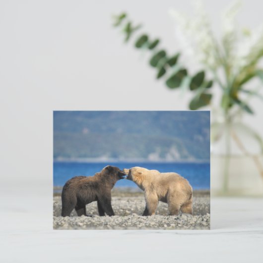 Bruin draag, grizzly, spel op het strand, briefkaart (Staand voorkant)
