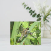 Bruin Dragonfly DIY-Briefkaart Briefkaart (Staand voorkant)