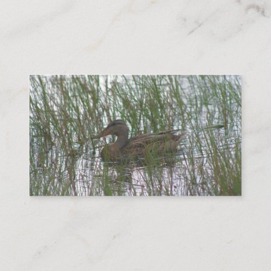 Bruin Duck Animal Visitekaartje (Achterkant)