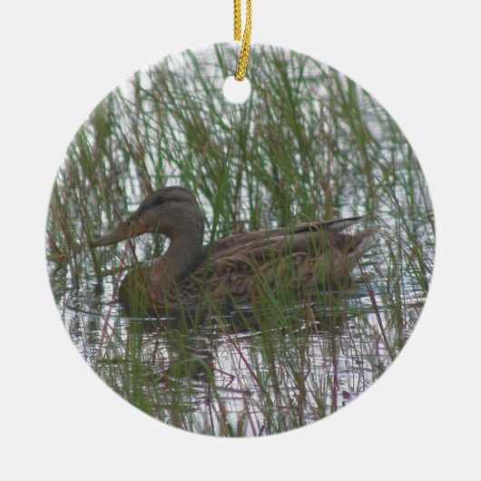 Bruin Duck Wildlife Animal Ornament (Voorkant)