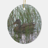 Bruin Duck Wildlife Animal Ornament (Links)