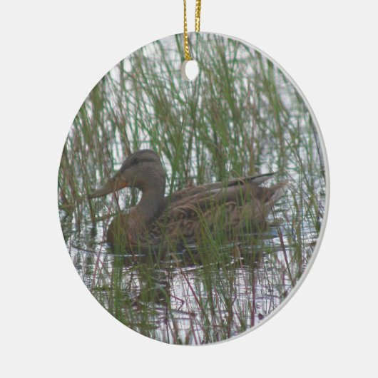Bruin Duck Wildlife Animal Ornament (Links)