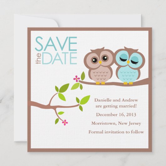 Bruin en Aqua Owls Wedding Save the Date Kaart (Voorkant)