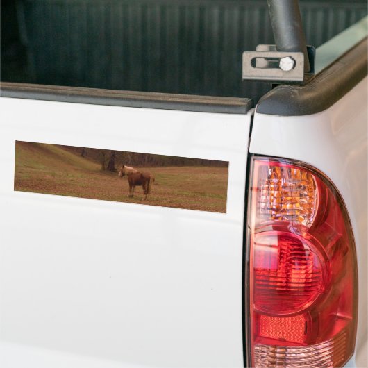 Bruin en blond paard in een veld bumpersticker (Op Truck)