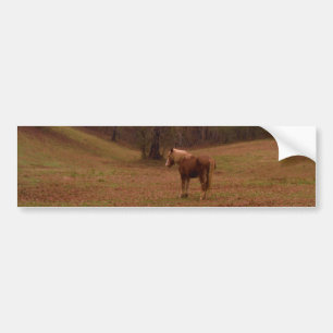 Bruin en blond paard in een veld bumpersticker