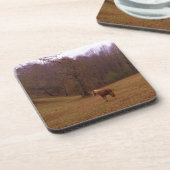 Bruin en blond paard in een veld drankjes onderzetter (Linkerzijde)