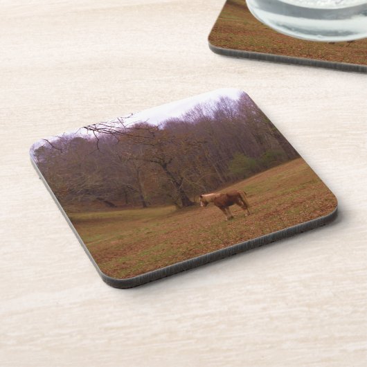 Bruin en blond paard in een veld drankjes onderzetter (Linkerzijde)