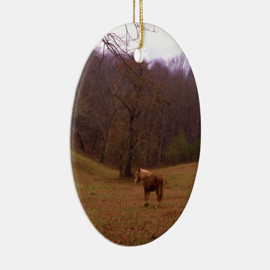 Bruin en blond paard in een veld keramisch ornament (Rechts)