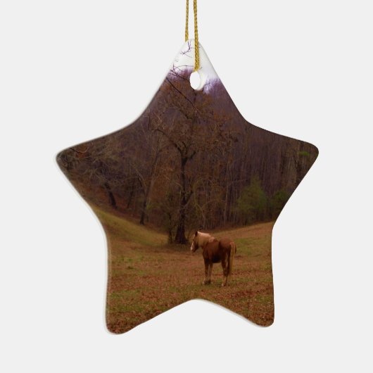 Bruin en blond paard in een veld keramisch ornament (Rechts)