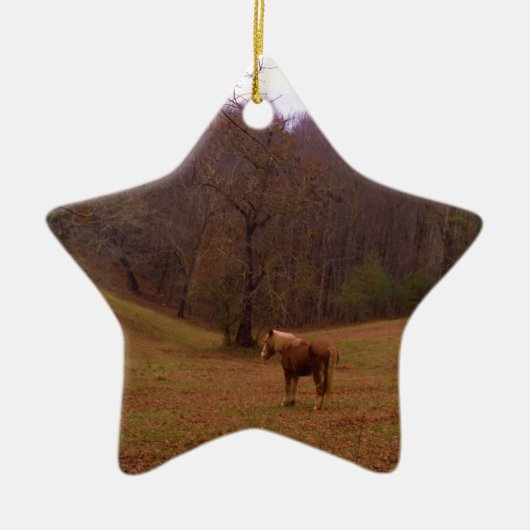 Bruin en blond paard in een veld keramisch ornament (Voorkant)