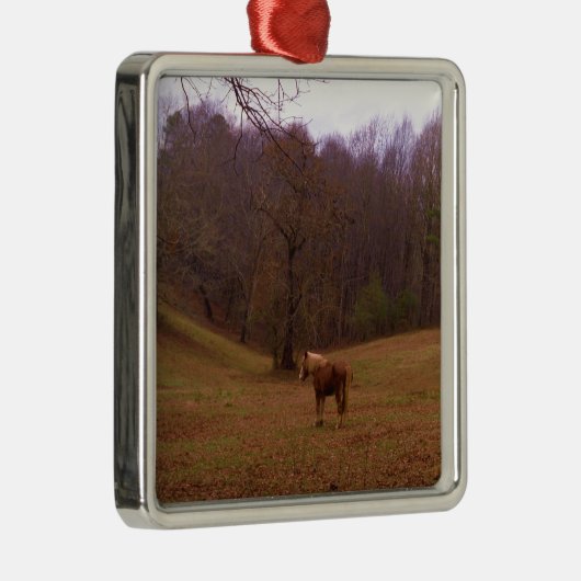 Bruin en blond paard in een veld metalen ornament (Rechts)