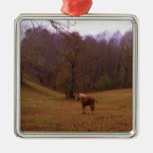 Bruin en blond paard in een veld metalen ornament (Voorkant)