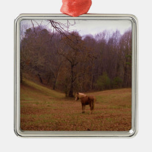 Bruin en blond paard in een veld metalen ornament