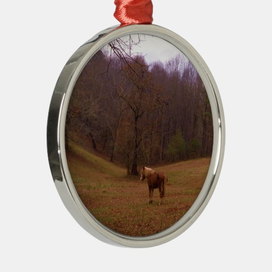 Bruin en blond paard in een veld metalen ornament (Rechts)
