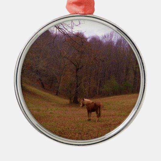 Bruin en blond paard in een veld metalen ornament (Voorkant)