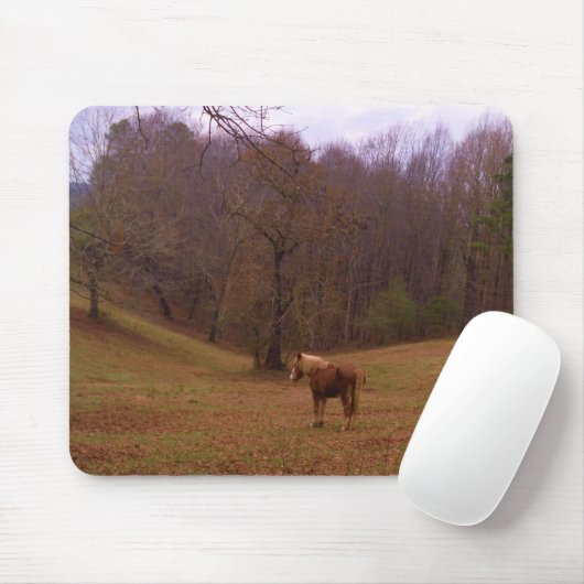 Bruin en blond paard in een veld muismat (Met muis)