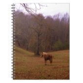 Bruin en blond paard in een veld notitieboek (Voorkant)