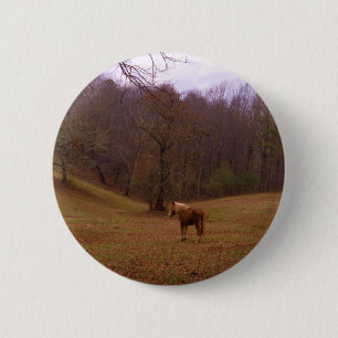 Bruin en blond paard in een veld ronde button 5,7 cm