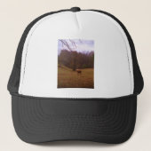 Bruin en blond paard in een veld trucker pet (Voorkant)