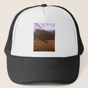 Bruin en blond paard in een veld trucker pet