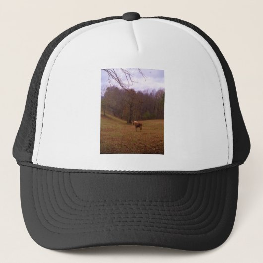 Bruin en blond paard in een veld trucker pet (Voorkant)