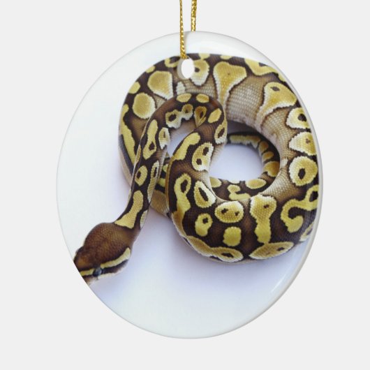 Bruin en goudbal Python 2 Keramisch Ornament (Links)