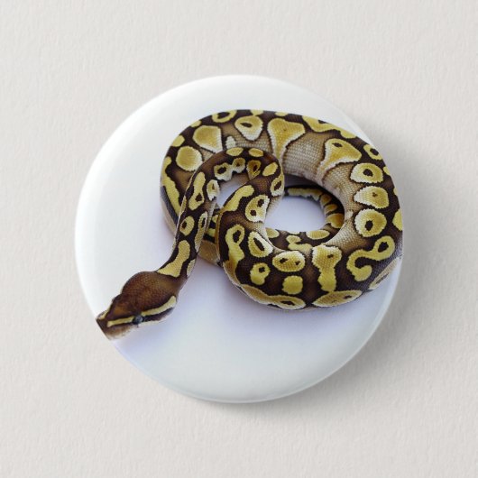Bruin en goudbal Python 2 Ronde Button 5,7 Cm (Voorkant)