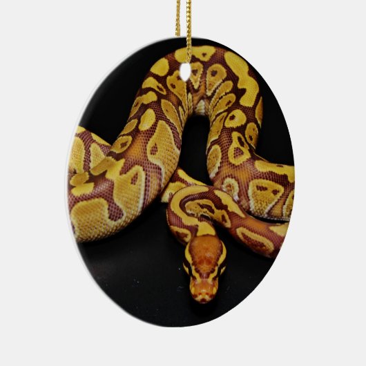 Bruin en goudbal Python Keramisch Ornament (Rechts)