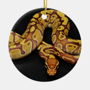 Bruin en goudbal Python Keramisch Ornament
