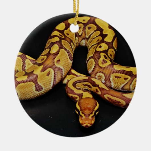 Bruin en goudbal Python Keramisch Ornament (Voorkant)